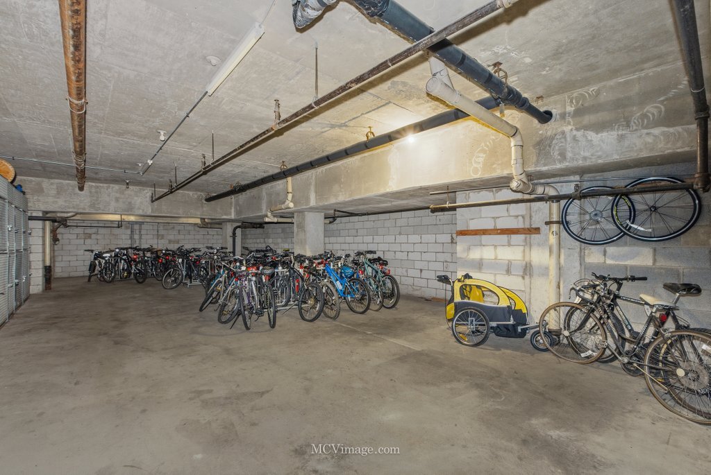 5400 Walnut Avenue, Unit 208 Downers Grove, IL 60515 - Photo 18 of 19