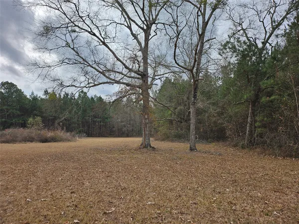$99,000 | Tbd Kelly Drive, Cleveland, TX 77327
