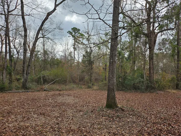 $99,000 | Tbd Kelly Drive, Cleveland, TX 77327