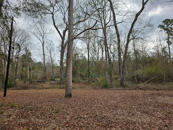$99,000 | Tbd Kelly Drive, Cleveland, TX 77327