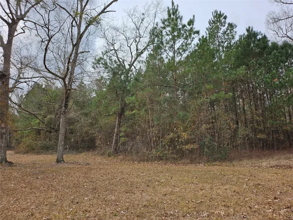 $99,000 | Tbd Kelly Drive, Cleveland, TX 77327