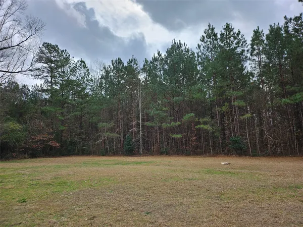 $99,000 | Tbd Kelly Drive, Cleveland, TX 77327