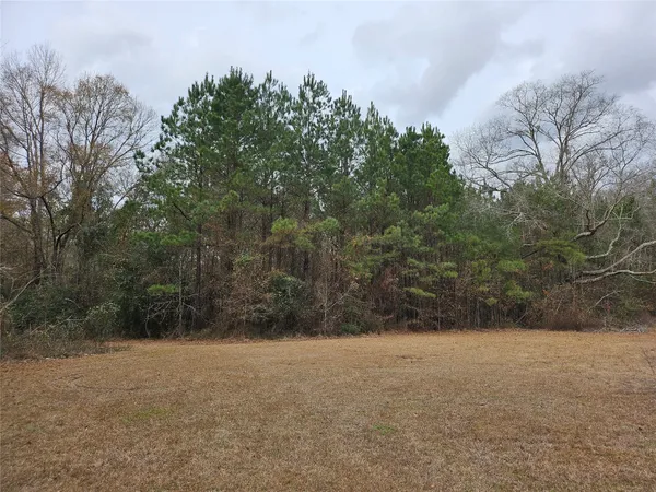 $99,000 | Tbd Kelly Drive, Cleveland, TX 77327