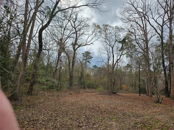 $99,000 | Tbd Kelly Drive, Cleveland, TX 77327
