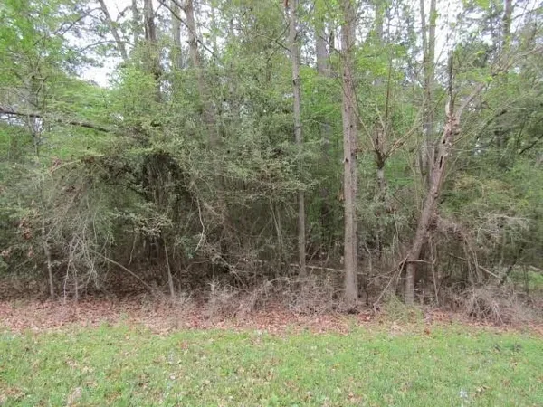 $13,207 | Lot 7 Elk Street, Onalaska, TX 77360