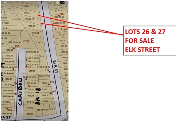 $13,207 | Lot 7 Elk Street, Onalaska, TX 77360