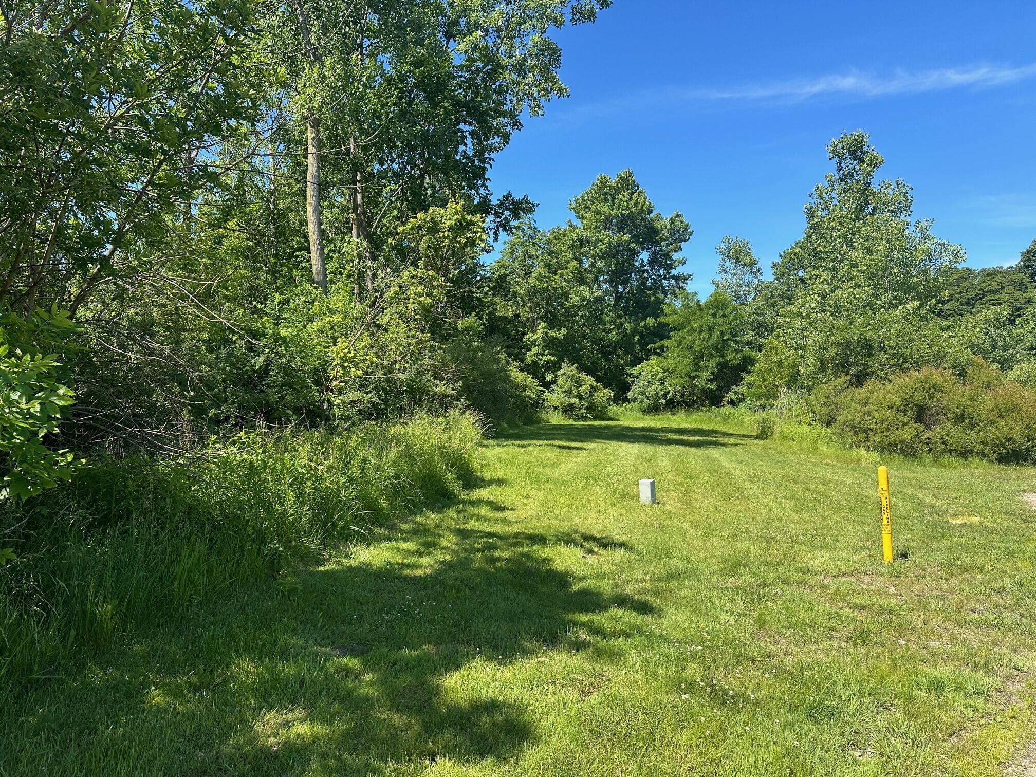 85 Diamond Point Lane New Buffalo, MI 49117 - Photo 1 of 9 Lot 45