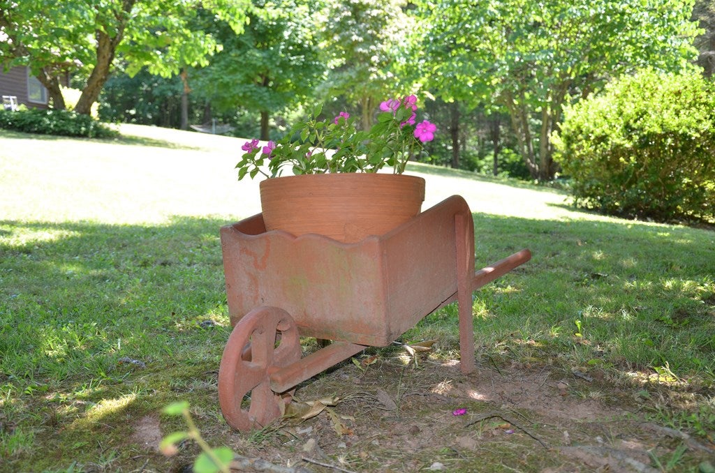 Gallery Image 6