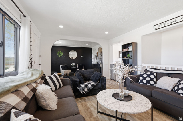 830 North Stone Road Snowville, UT 84336 - Photo 5 of 69 Living room with light wood-style flooring, arched walkways, and recessed lighting