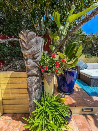 a view of a palm tree with wooden fence