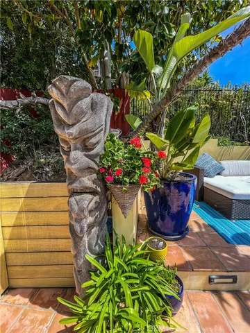 a view of a palm tree with wooden fence