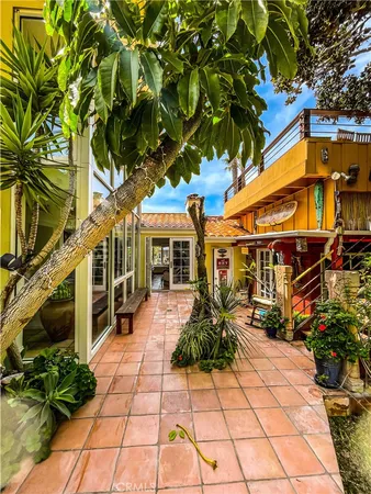 a view of a garden with plants