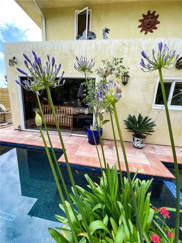 a view of a yard with plants