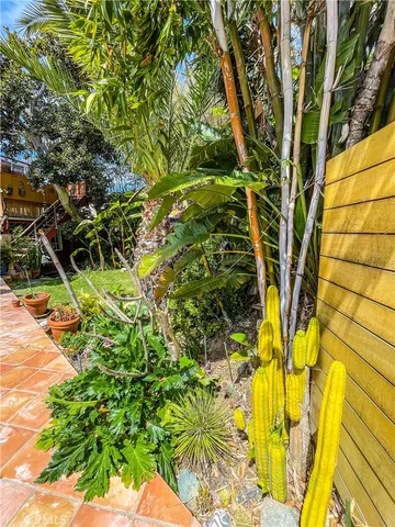a view of a yard with plants and large trees