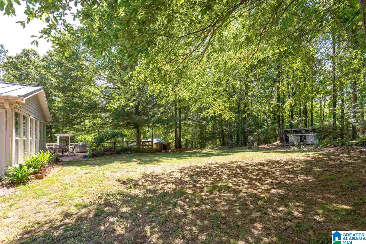 6674 Highway 431 Heflin, AL 36264 - Photo 46 of 50