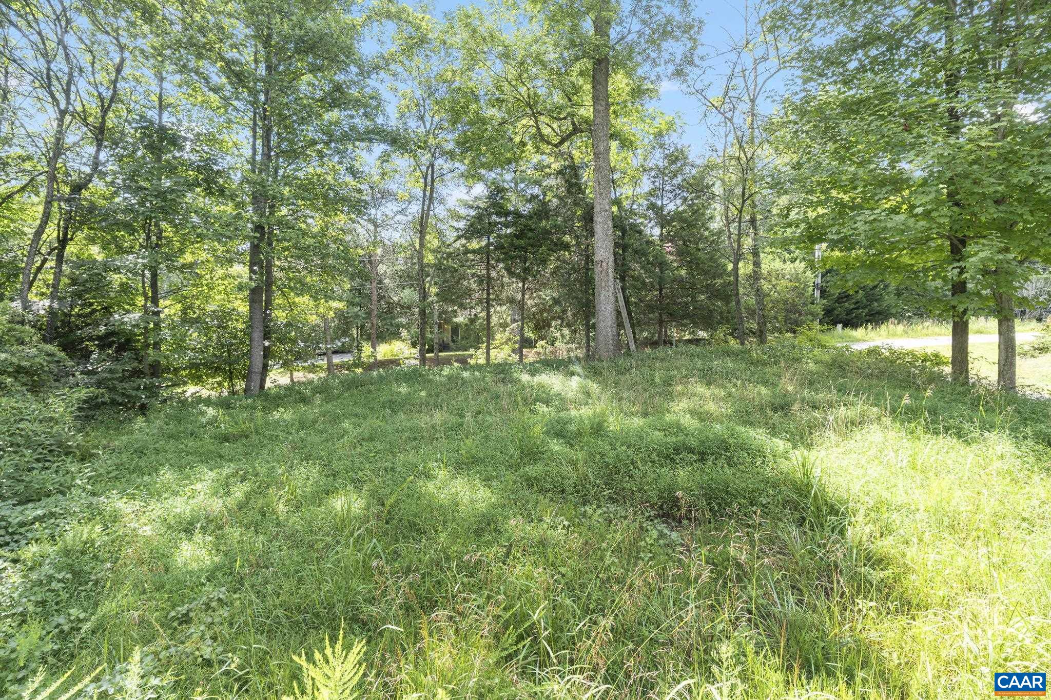62 Summit Court Roseland, VA 22967 - Photo 73 of 75 a big yard with lots of green space and deers