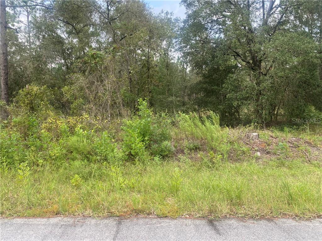 32 Northwest Smallwood Road Dunnellon, FL 34431 - Photo 1 of 1 Gallery Image 1