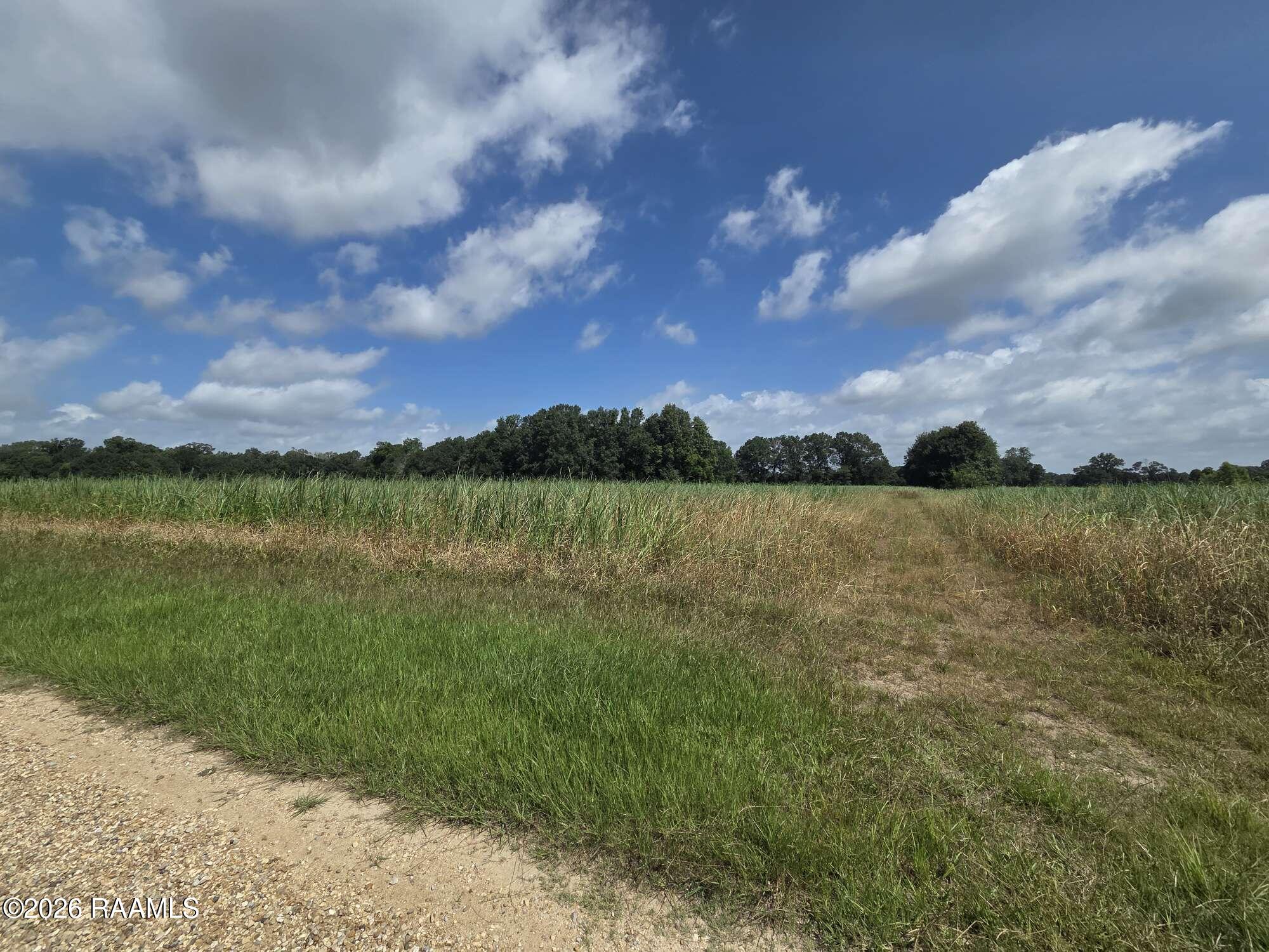 410 Roy Guidry Road Youngsville, LA 70592 - Photo 4 of 4 Compress_20260619_114442_2934