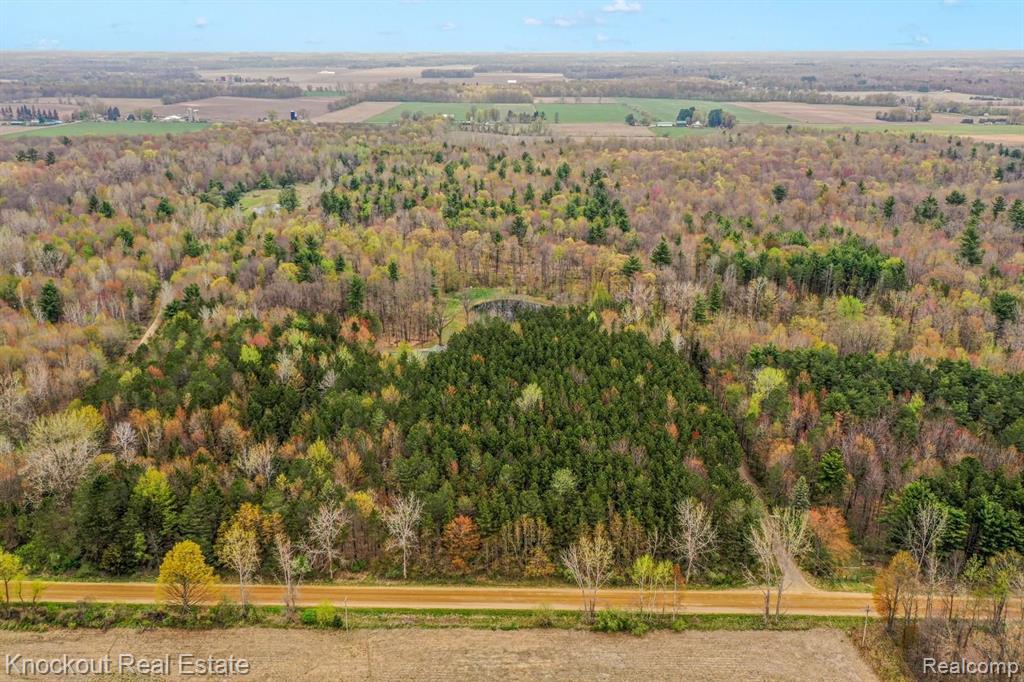 6288 Murphy Lake Road Millington, MI 48746 - Photo 63 of 69