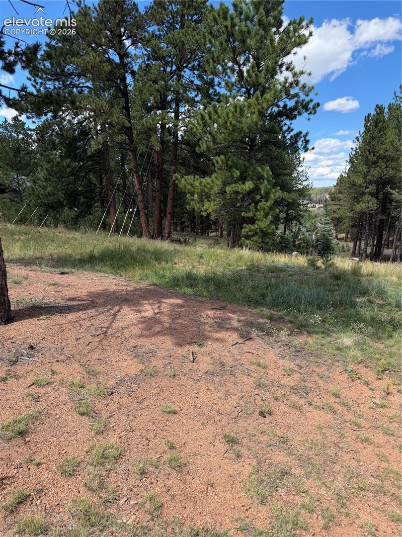 1396 Roberts Ranch Road Woodland Park, CO 80863 - Photo 6 of 6 Gallery Image 6