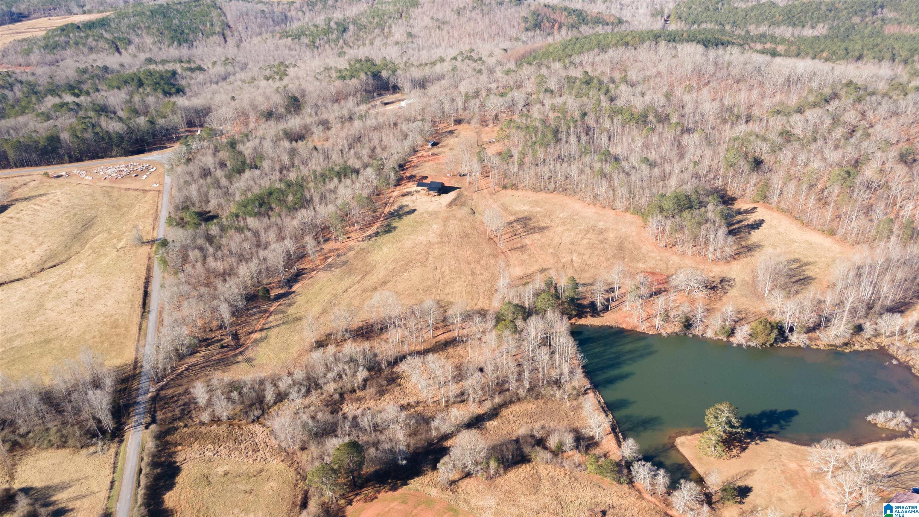 209 State Lake Road Lineville, AL 36266 - Photo 2 of 29