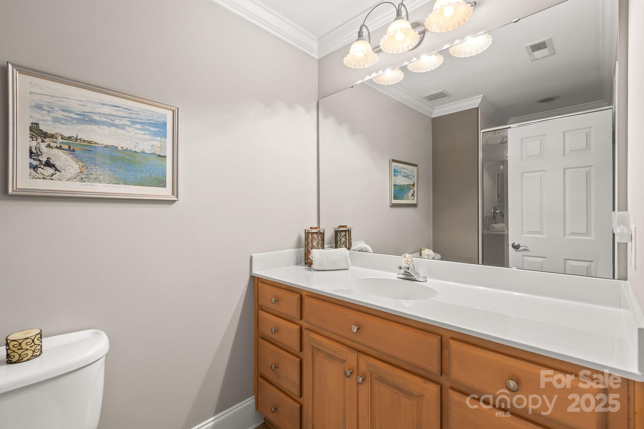 796 Lake Mist Drive Stanley, NC 28164 - Photo 28 of 43 a bathroom with a sink vanity and a toilet