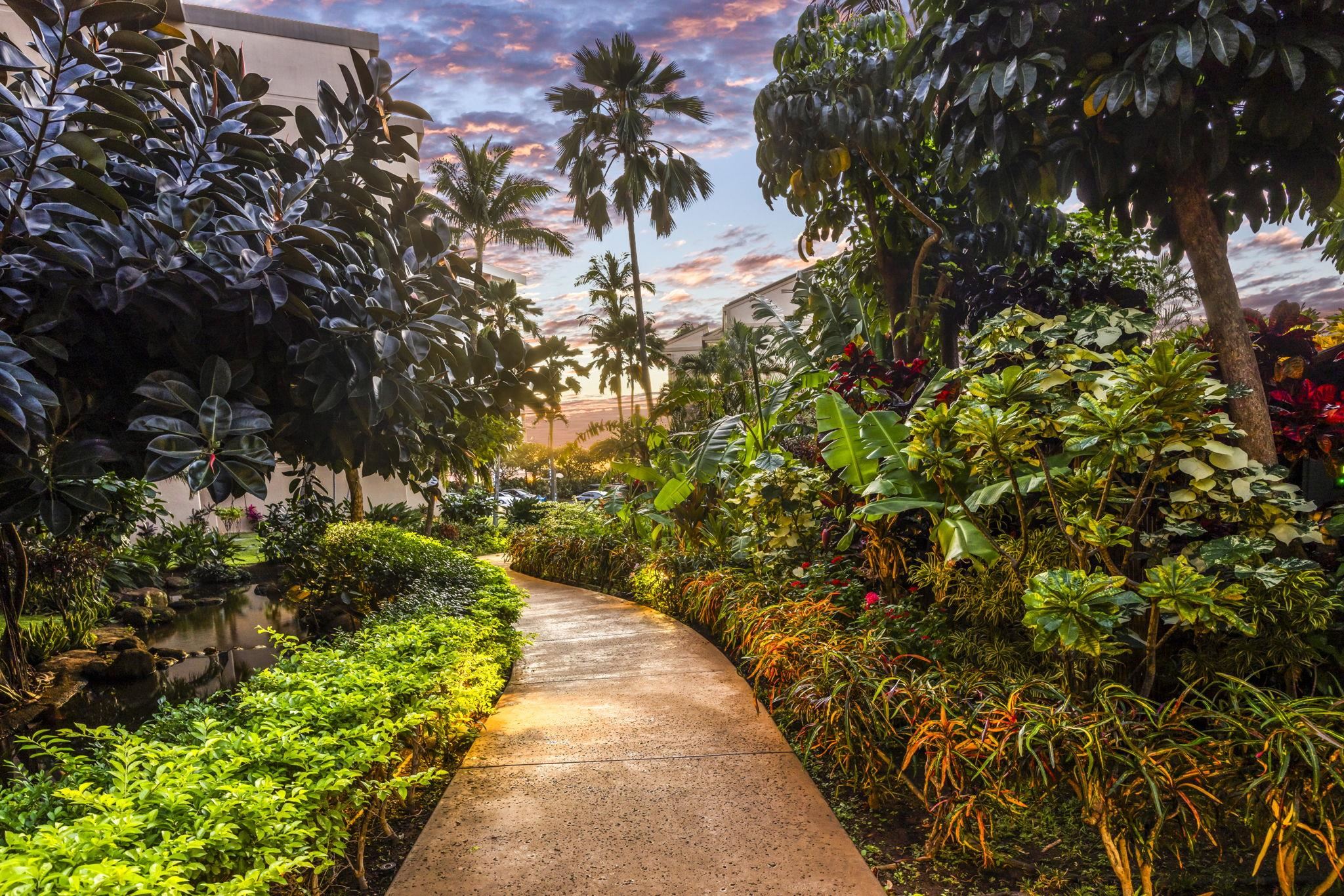 3445 Lower Honoapiilani Road, Unit 443 Lahaina, HI 96761 - Photo 30 of 39 Gallery Image 30