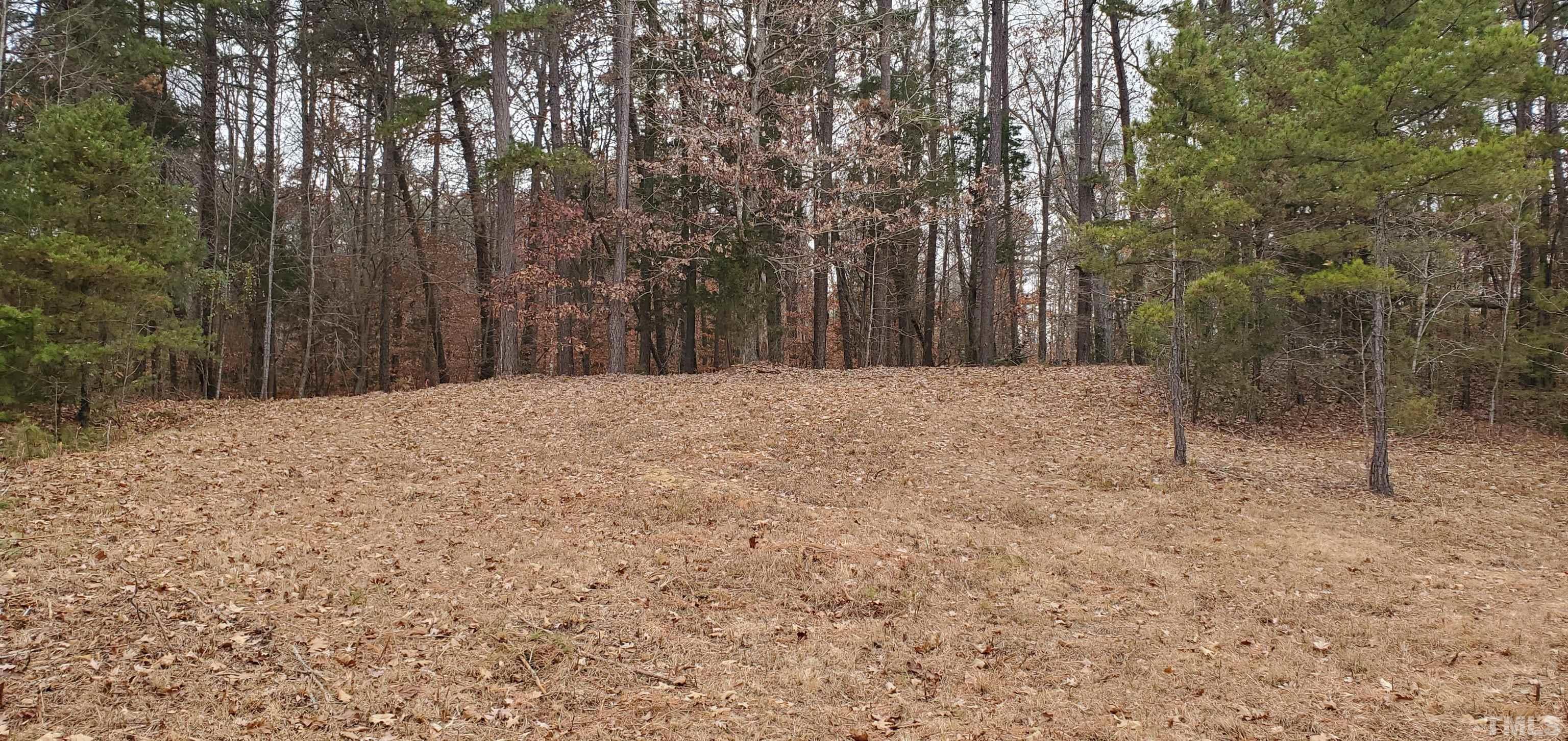 2 Solomon Road Leasburg, NC 27291 - Photo 4 of 6 Gallery Image 4