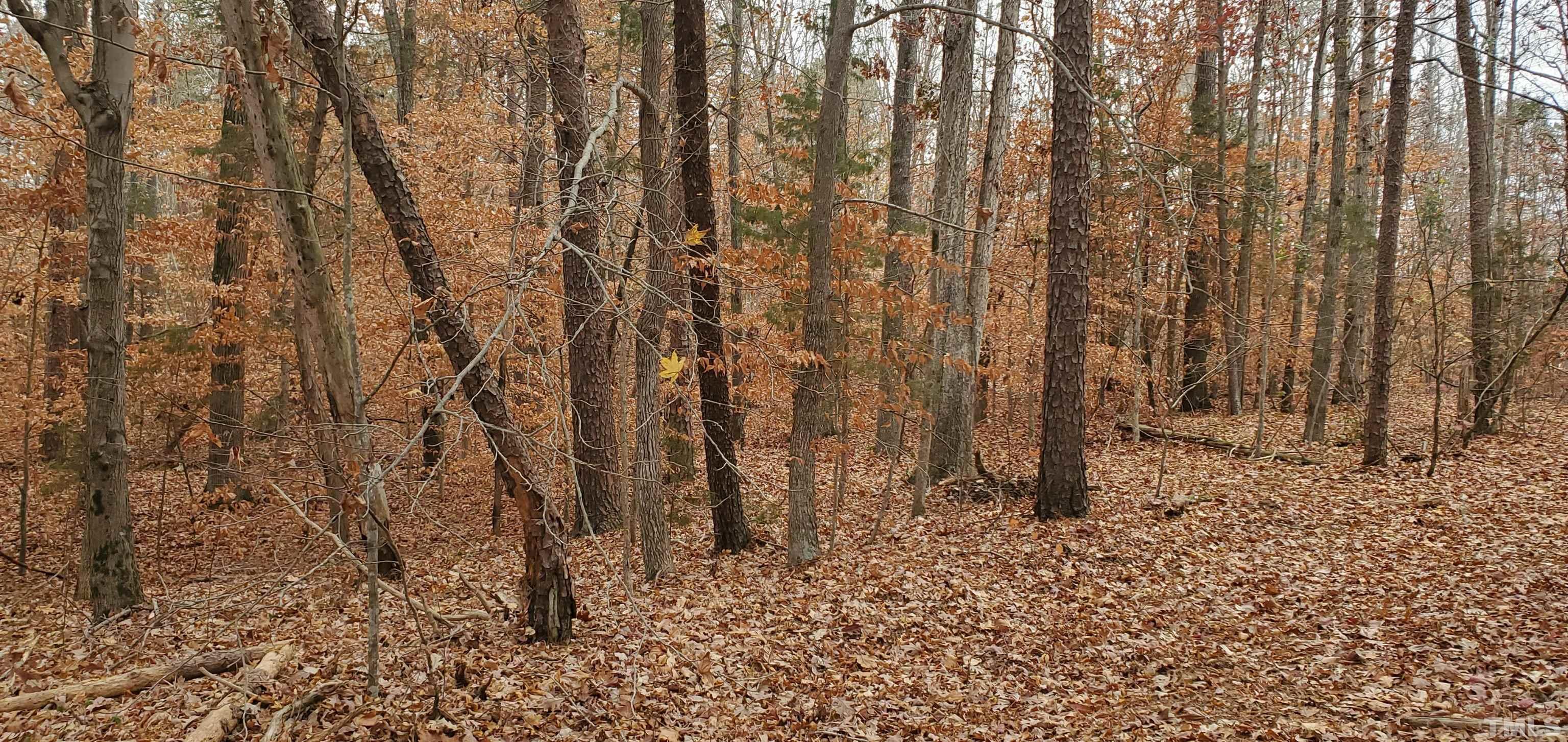 2 Solomon Road Leasburg, NC 27291 - Photo 6 of 6 Gallery Image 6