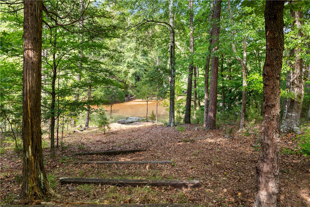 1391 Harrelson Road Pauline, SC 29374 - Photo 31 of 47