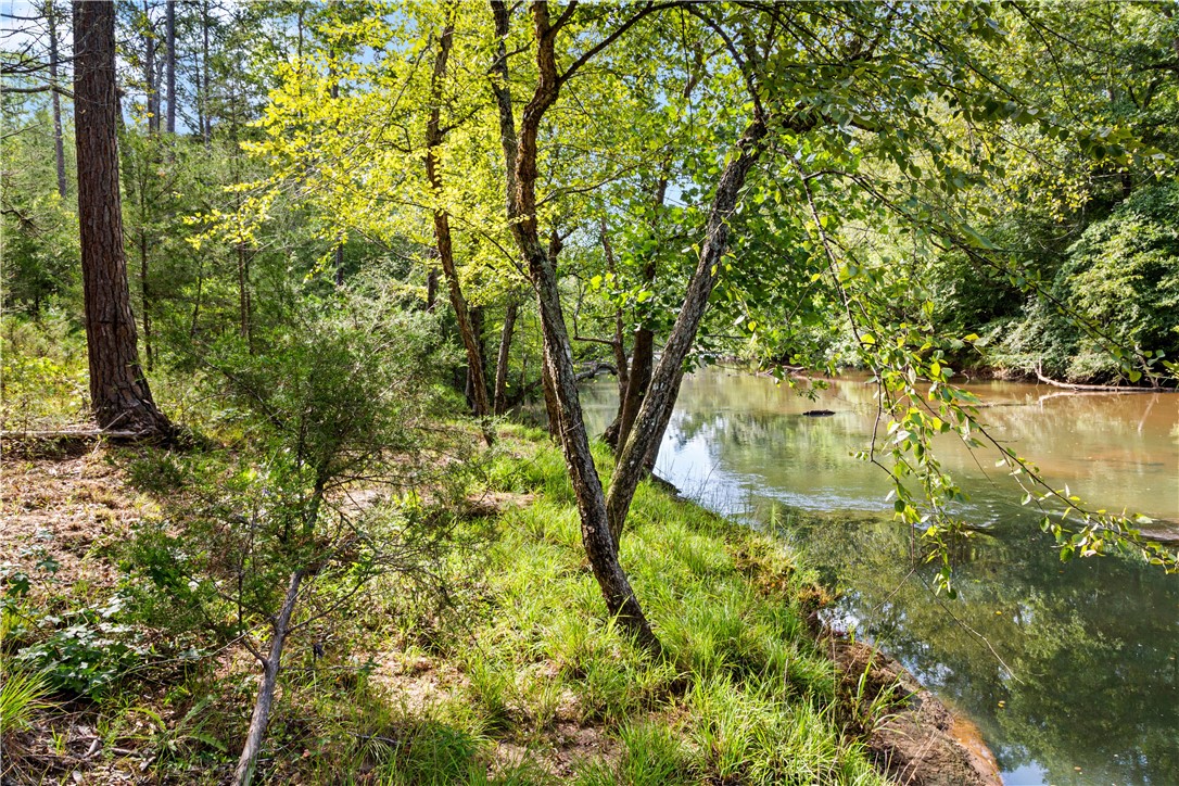 1391 Harrelson Road Pauline, SC 29374 - Photo 33 of 47