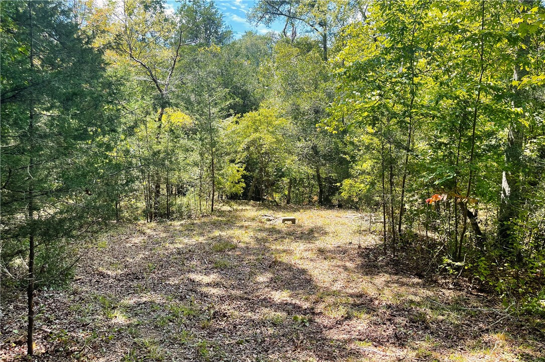 1391 Harrelson Road Pauline, SC 29374 - Photo 39 of 47