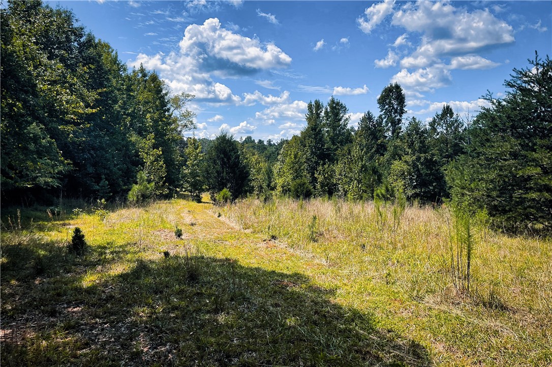 1391 Harrelson Road Pauline, SC 29374 - Photo 40 of 47
