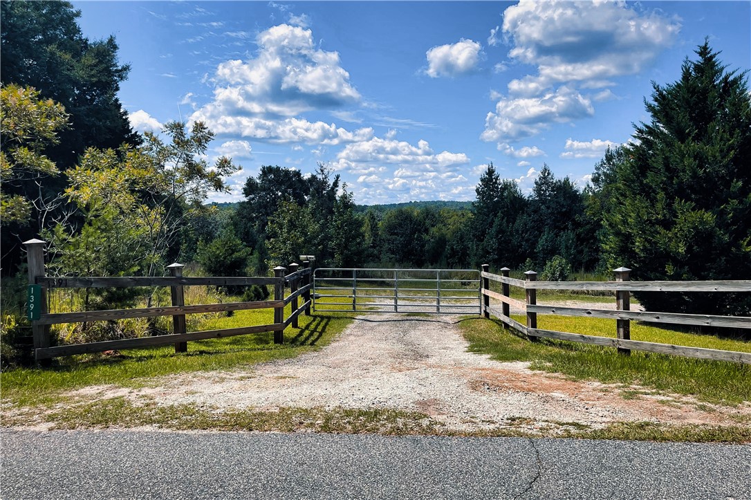 1391 Harrelson Road Pauline, SC 29374 - Photo 42 of 47
