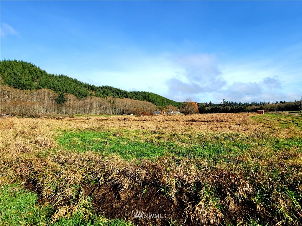 181 Oneill Road Elma, WA 98541 - Photo 8 of 10 Gallery Image 8