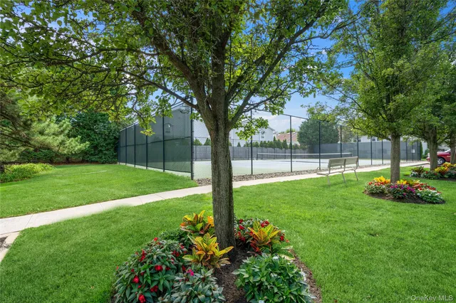 a view of a garden with a slide