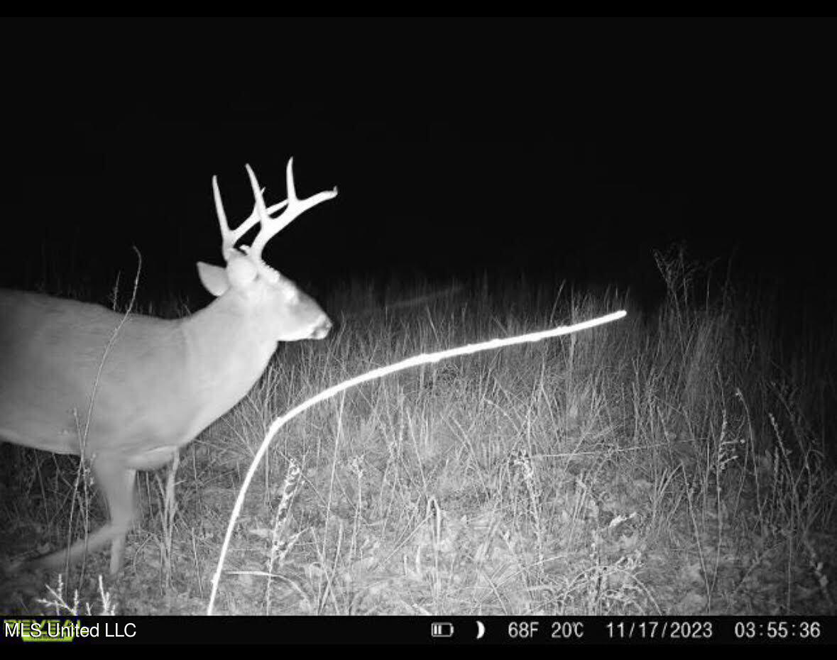 1114 Sweetwater Road Lexington, MS 39095 - Photo 3 of 57 4