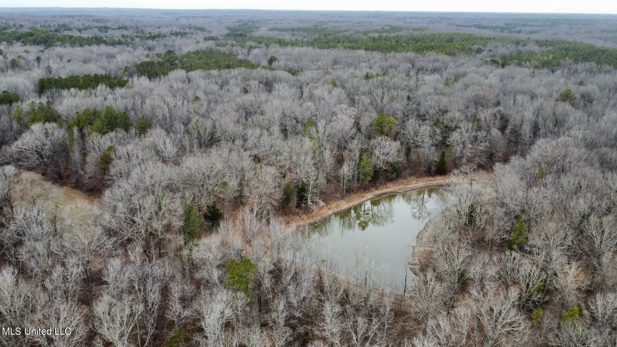 1114 Sweetwater Road Lexington, MS 39095 - Photo 32 of 57 138