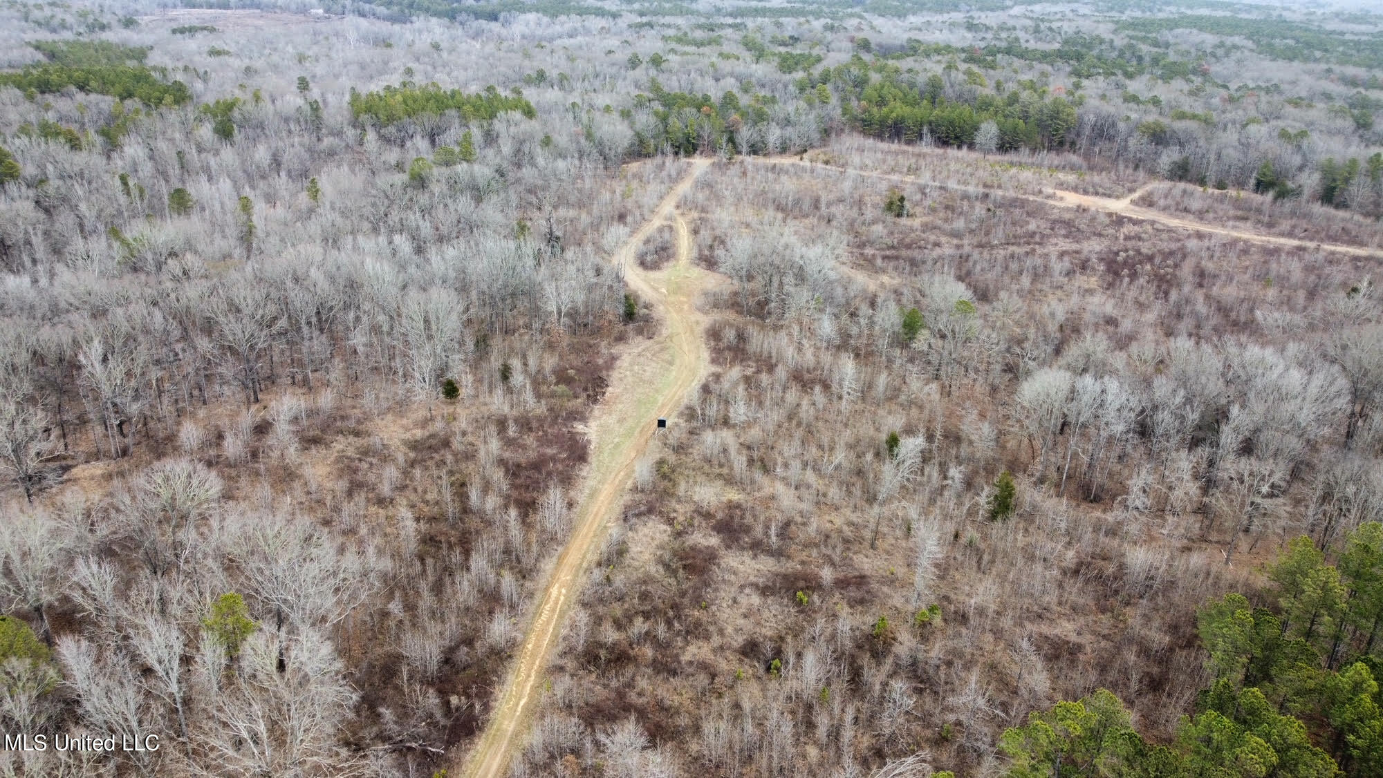 1114 Sweetwater Road Lexington, MS 39095 - Photo 34 of 57 143