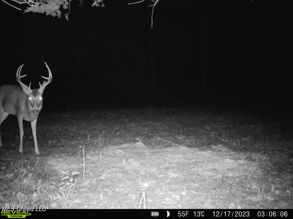 1114 Sweetwater Road Lexington, MS 39095 - Photo 8 of 57 16