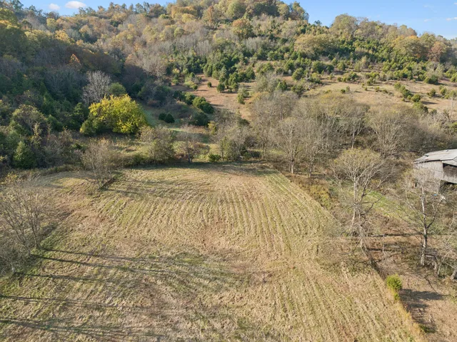 a view of a pathway both side of building