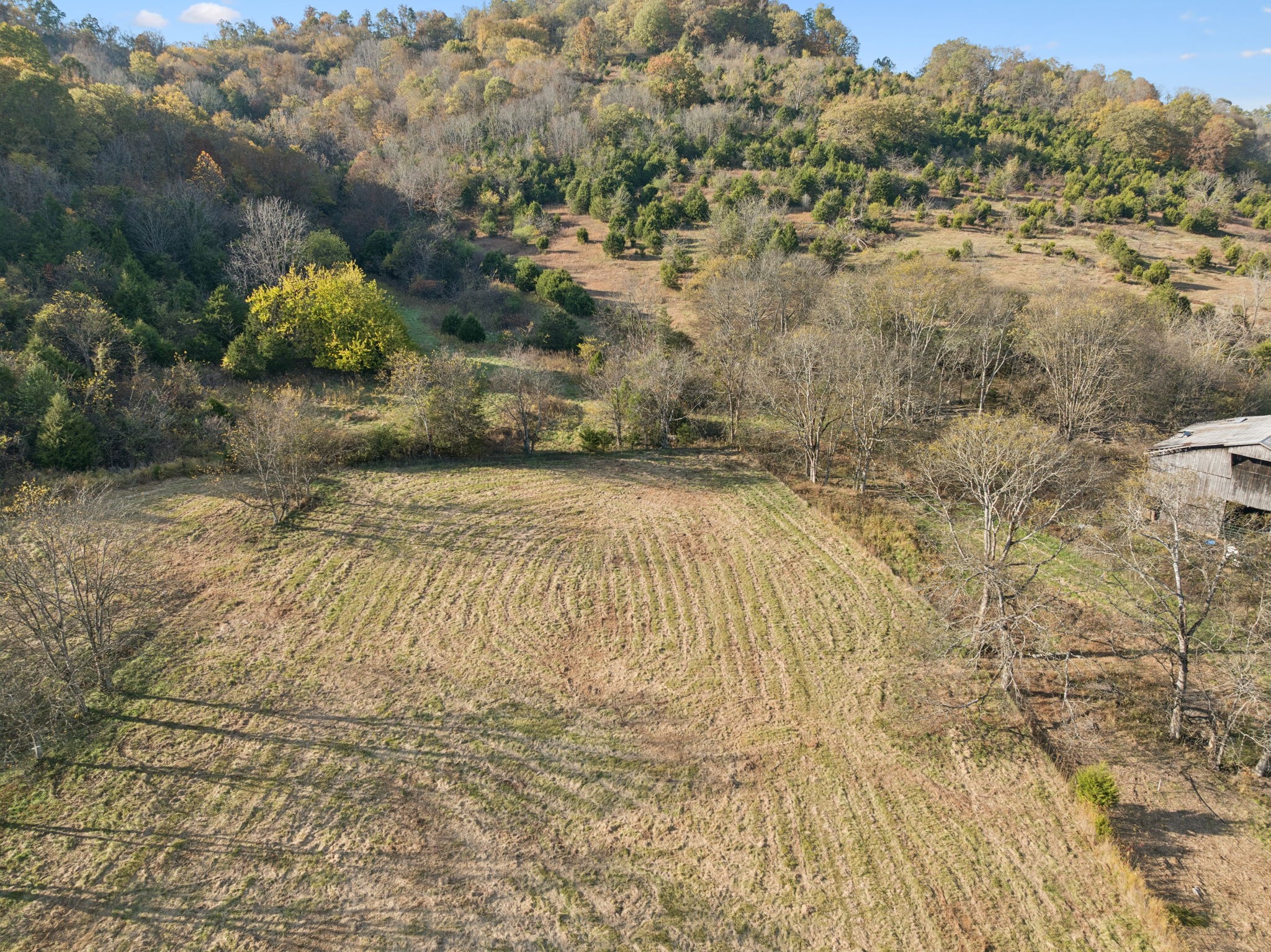a view of a pathway both side of building