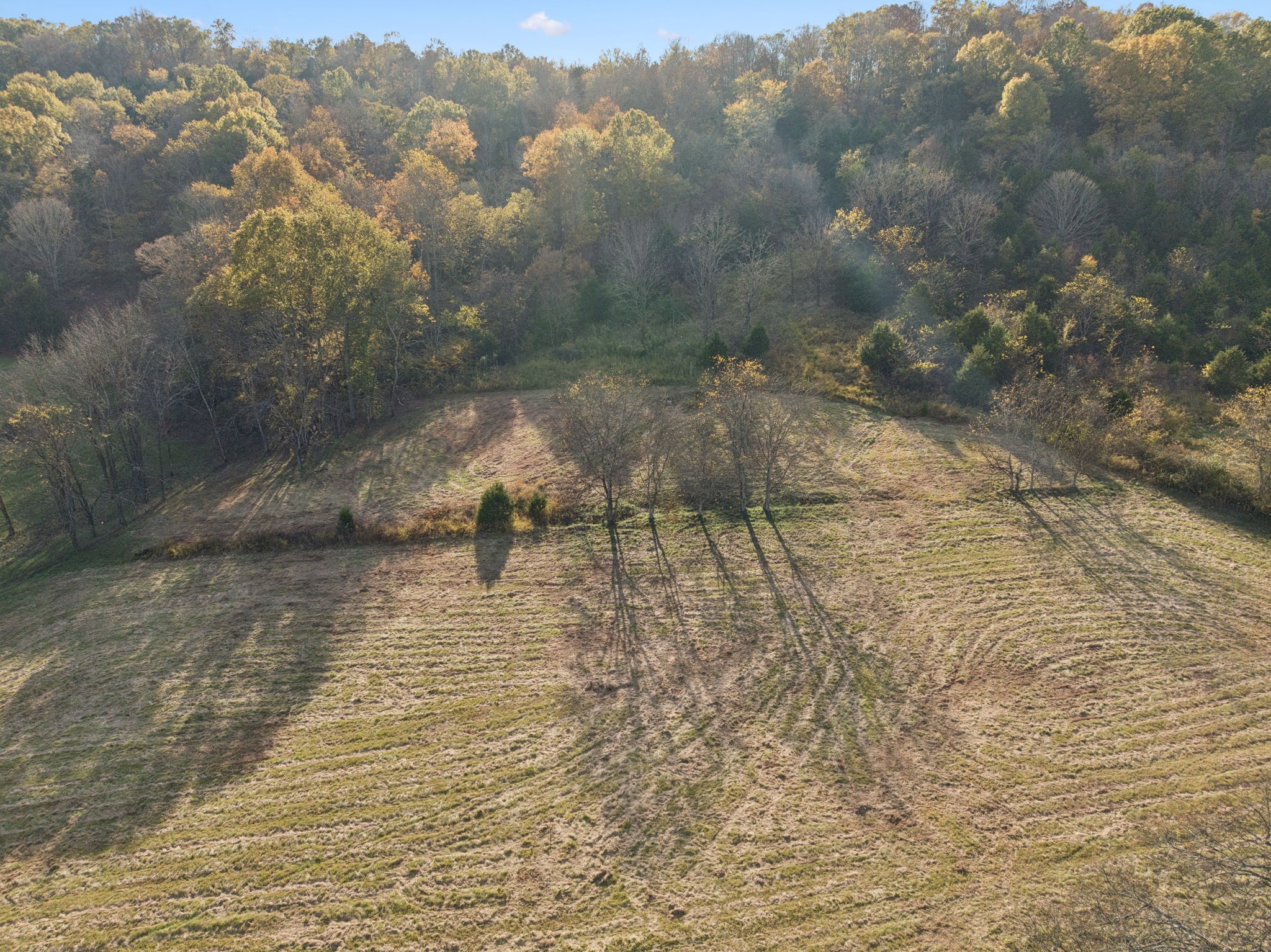 0 Duke Hollow Lane Carthage, TN 37030 - Photo 18 of 24 a view of a yard