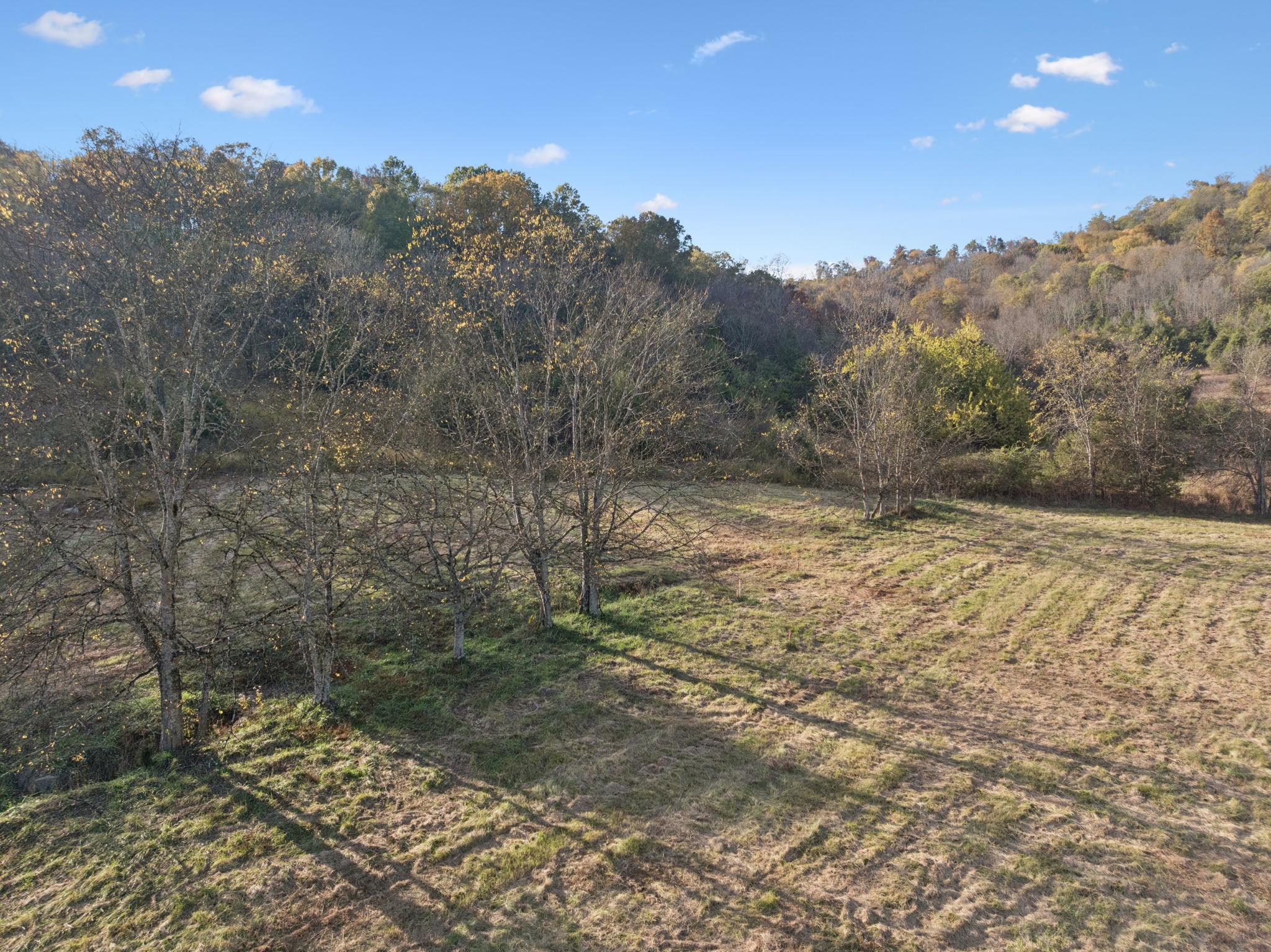 0 Duke Hollow Lane Carthage, TN 37030 - Photo 7 of 24 a view of a yard with a tree