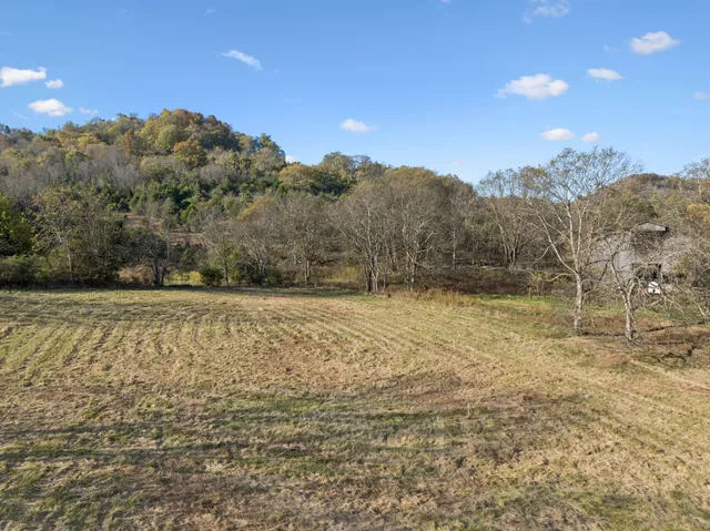 a view of a yard with an trees