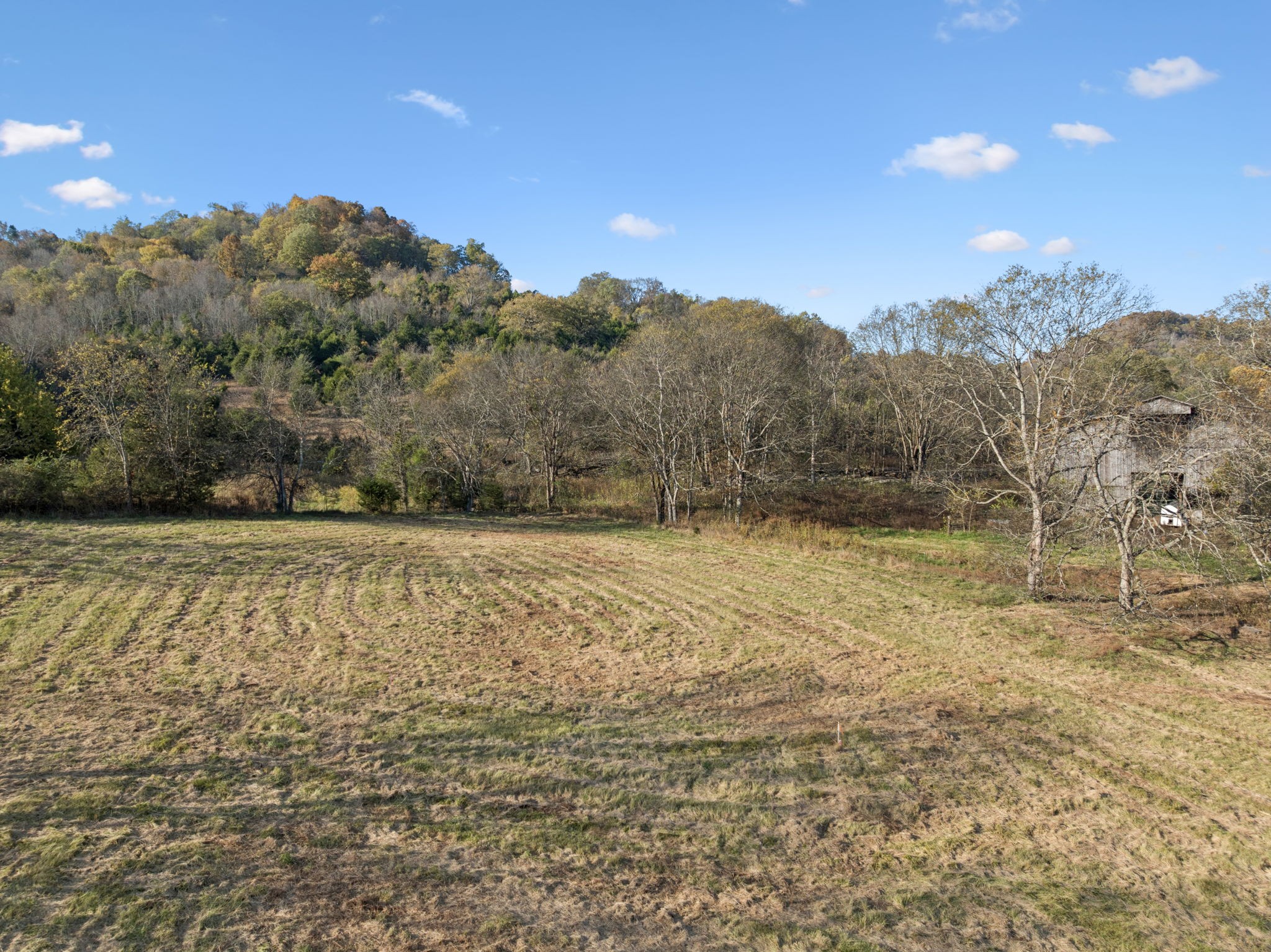 0 Duke Hollow Lane Carthage, TN 37030 - Photo 8 of 24 a view of a yard with an trees
