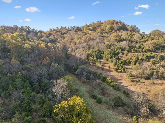 a view of a field with mountains in the background