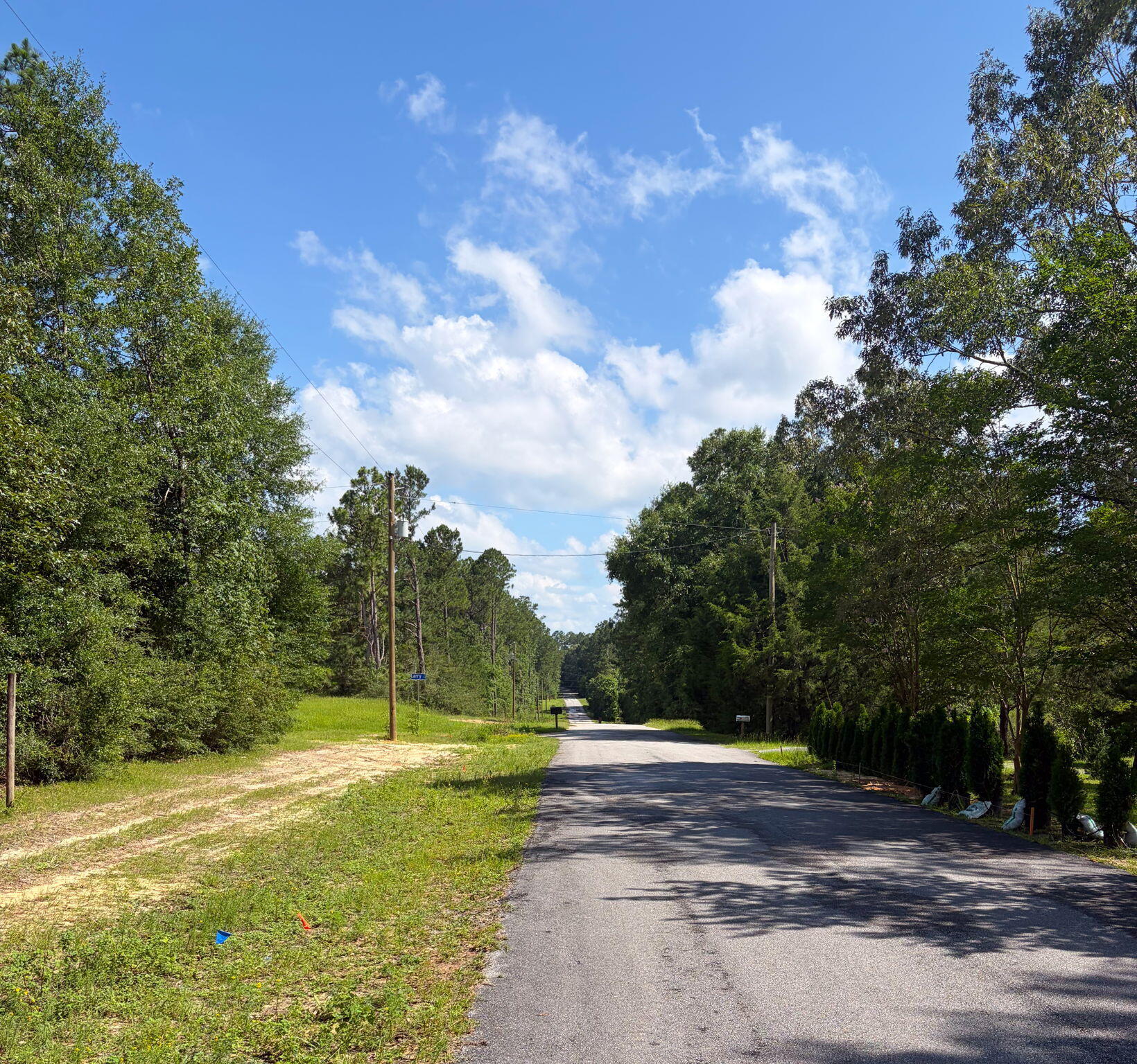 82 Acres 4 Flags Road Laurel Hill, FL 32567 - Photo 30 of 45 26-web-or-mls-IMG_1822