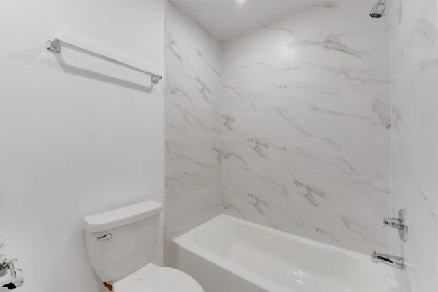 a bathroom with a toilet and a bathtub