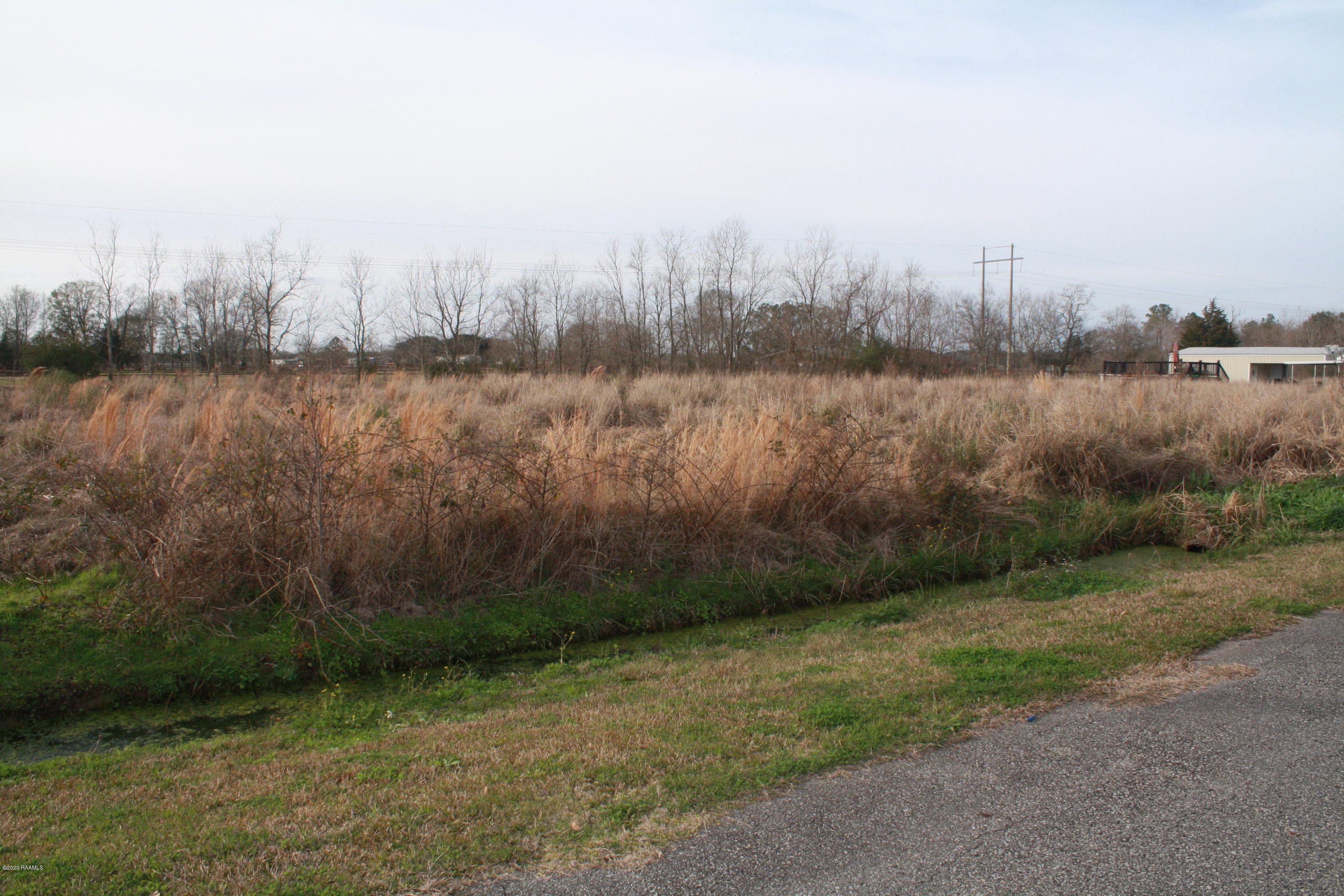 Tbd Wild Rose Road Sunset, LA 70584 - Photo 3 of 5 TBD WILD ROSE PIC 3